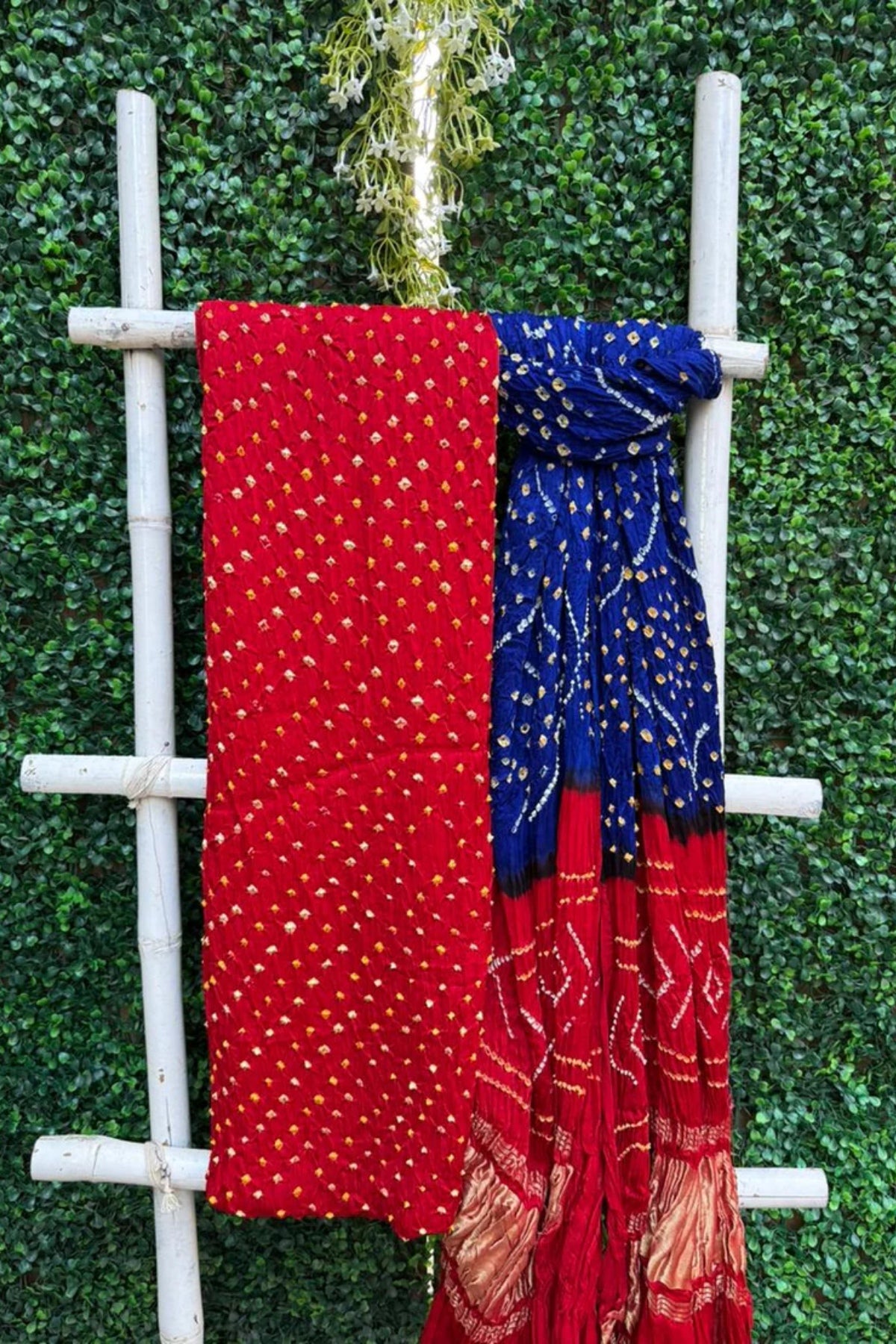 Red & Blue Bandhej Lagadi Patta Elegance