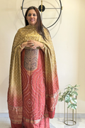Carrot Beauty – Banarasi & Bandhej Ensemble